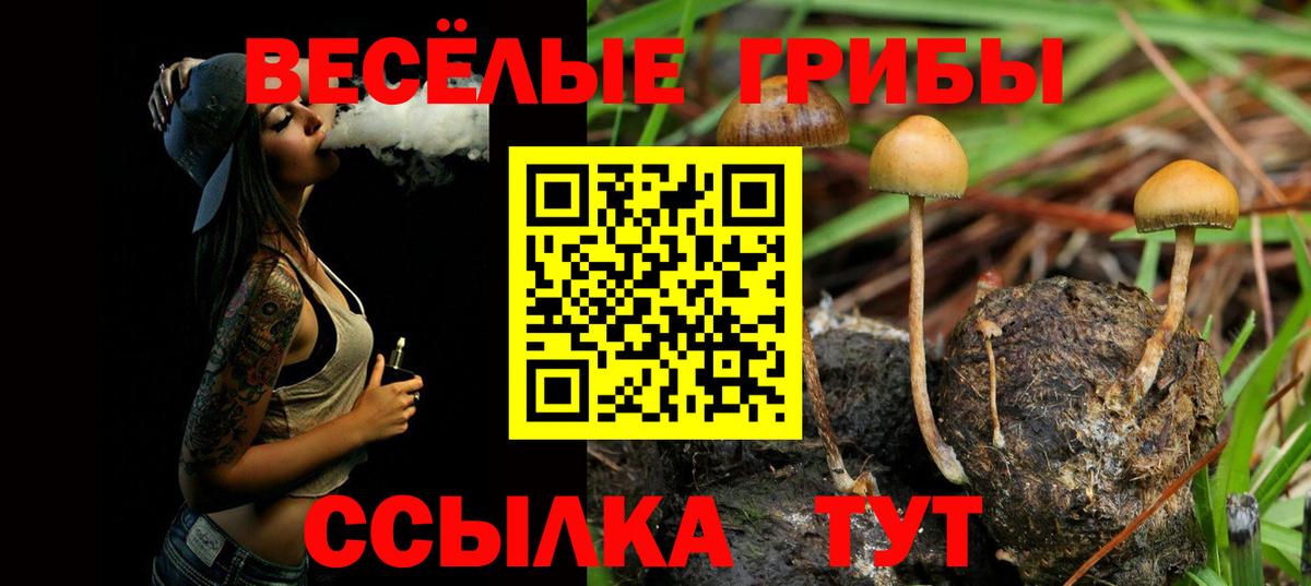 Псилоцибиновые грибы Cubensis  Вход с VPN  Минусинск  Псилоцибиновые грибы мухоморы 